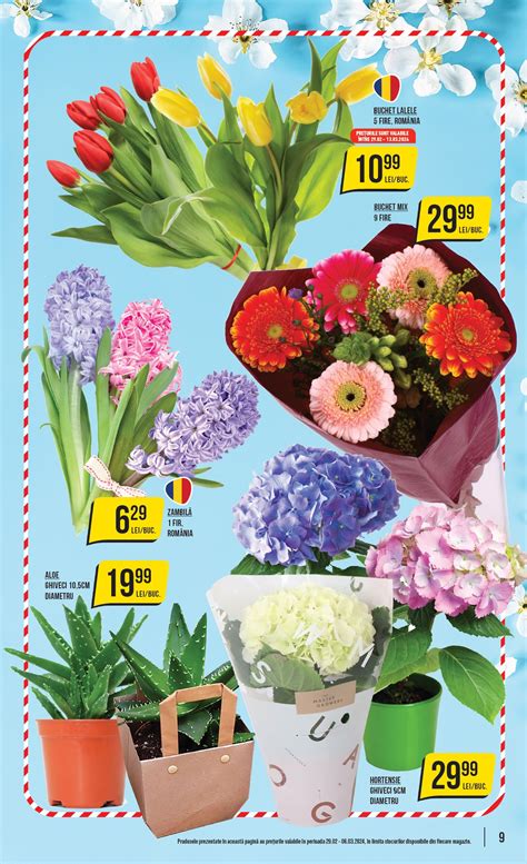 flori kaufland azi|Sortiment Florăria Lidl